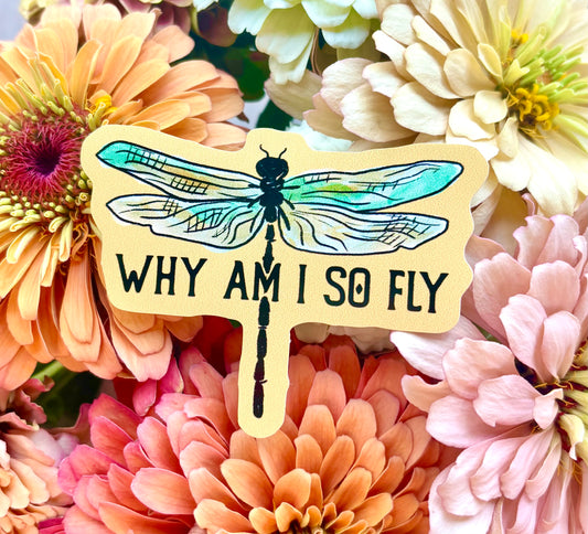 Why am I so Fly? Sticker